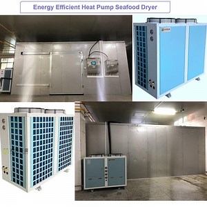 [Hot Item] Carp Sardine Cod Fish Dryer Clam Scallop Shrimp Octopus Eel Trout Dehumidifying Machinery Cuttlefish Sea Cucumber Seafood Dehydrators