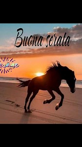 3.4K views · 31 reactions | Ewa Ewa on Reels | Facebook