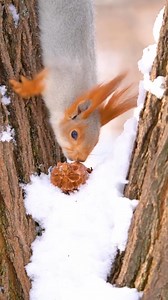 So Beautiful 😍 | Garry Opimo