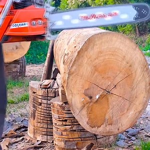Stihl MS 661 vs Makita 7900 vs Dolmar 7900 #loggertok #logger #chainsaw | Jocelyn Lumberjack