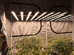 [Hot Item] ATA Full Spectrum SMD LED Grow Light 1000W for Indoor Plants