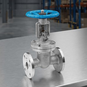 [Hot Item] Stainless Steel Rising Stem Cast Steel Flange Gate Valve