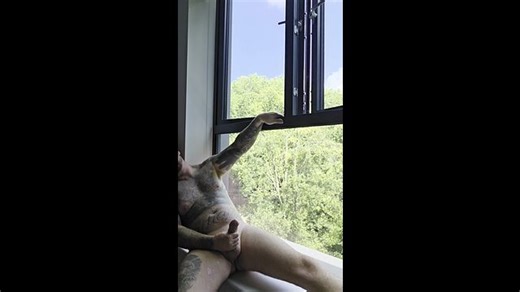 Sborrando alla finestra