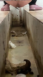 Chinese girl diarrhea expolosion