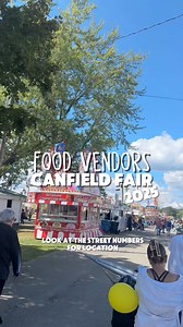A GLIMPSE of some food vendors at the Canfield Fair #canfieldfair #canfieldohio Ohio things to do #fairfood #fairfun | Kristin BeatzbyKris Woods