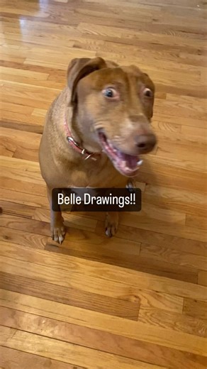 Belle Drawings!! Have a drawing for Belle? DM this account. #drawbelle #bellebows | Bellebows