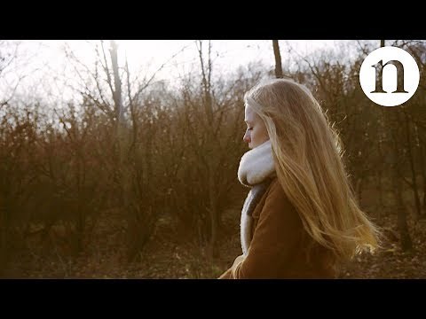 Understanding transition