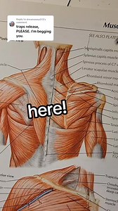 🟢 upper trapezius stretch variations with a towel. Why do I add a towel here? It adds much more tension to the stretch versus just pulling the head to the side. It also helps depress the shoulder where the trapezius inserts. See your doctor prior to performing exercise This is just a dynamic stretch movement for you to make your own!. #uppertrapezius #neckstretch #shoulderstretch #dynamicstretching #mobility #chiropractor | Bannockburn Chiropractic & Physical Therapy
