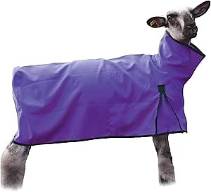 Sheep Blanket with Solid Butt, Small, Purple