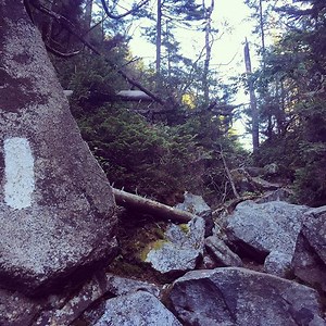Videos - Homemade Wanderlust