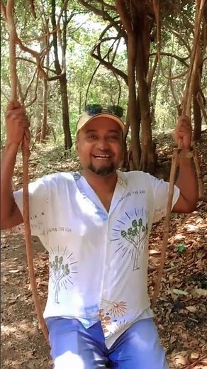 Swinging on liana - woody vine of Bauhinia sp. 🌿 #biologicofficial