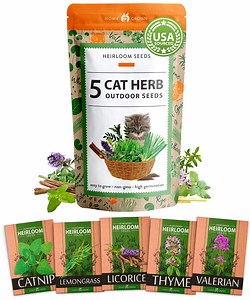 [Hot Item] Home Grown Premium Cat Grass Seeds Keep Your Pets Healthy