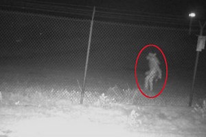 "Chupacabra" Theories Fly After Mysterious Image Captured in Texas