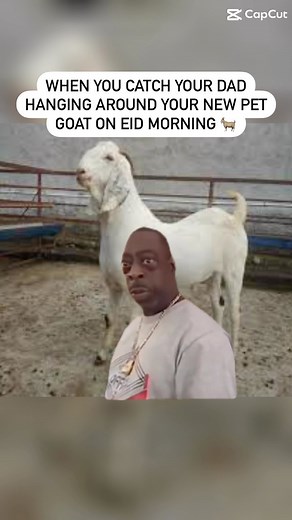 11K views · 13 comments | Did you know that our teams work hard to get your Qurbani donation to the most remote areas and conflict zones, including Palestine, Syria and Yemen? Click the link in our bio to learn more! #qurbani #beetlejuice #whatareyoudoing #eid | Islamic Relief Canada | Facebook