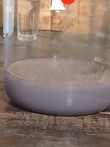 19K views · 380 reactions | The Art of extracting gold full process. #StarsEverywhere #treasure #goldprospector #goldmining #goldrecovery #GoldRush #GoldMining #GoldDiscovery #MetalDetecting #GoldSearch #GoldFinds #TreasureHunting #GoldDiggers #ProspectorsLife #ontario #georgia #quebec #gold #diygold #howtomakemoney #rock @all followers | Hassan Hamdati | Facebook