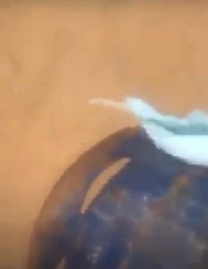 😂😂😂 | Radio Jam (L'Officielle)