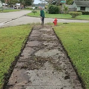 3.1K views · 116 reactions | This grass grew so fast that it covered the road, so I took the initiative to cut it for FREE | Lawn Care Services | Facebook