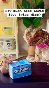 @swissmissbrand is for lovers 🩵Sharing a warm mug of Swiss Miss Cocoa with someone I love is a heartwarming ritual that brings us closer with every sip. As the steam rises from our mugs, it seems to carry the coziness of the moment, filling the air with a delightful aroma. With each taste, we savor not only the rich, velvety chocolate but also the shared smiles and conversations that make this simple act so special. It’s in these moments of togetherness that we find comfort and connection, turn