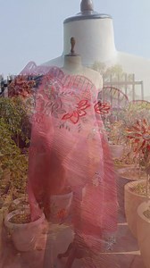 Shop our latest Dupatta Collection ✨ Organza tissue crush dupatta with multi thread work✨ . . . #dupatta#dupattaonline#dupattalovers #dupattaonline#dupattacollection#Ramjisons#lajpatnagar#shopnow#shopnowonline#dupattaonline#fancydupatta#organzadupatta#dupattas | Ramjisons Fabrics Studio