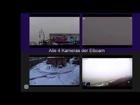 4 CAMs + Chat