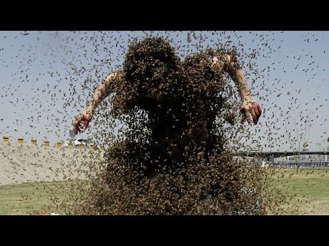 40.002 Killerbees Showed No Mercy For Farmer Larry Goodwin