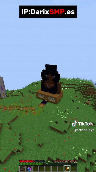 srcanelayt on TikTok