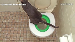 97K views · 126 reactions | These trays help you train your cat to...