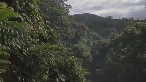 Trăn Khổng Lồ- Truy Tìm Huyết Lan Thuyết Minh - Anacondas- The Hunt For The Blood Orchid (2004)