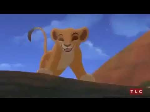 Le Roi Lion Simba dessin animé film complet en francais pour les enfants.