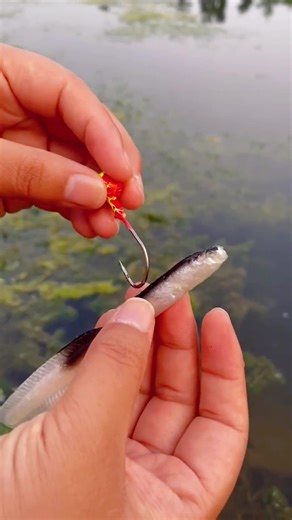 OutdoorAlwonder on TikTok