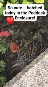 1.9K views · 51 reactions | Wetherby Racecourse & Conference Centre on Reels | Facebook