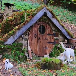 Mastering bushcraft build your own dugout in the mountains | Hillside Lumber