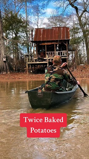 Pollywog Cabin on TikTok