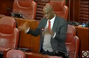 Ladies and gentlemen, Embu Senator Alexander Mundigi. | Popcorn Movement