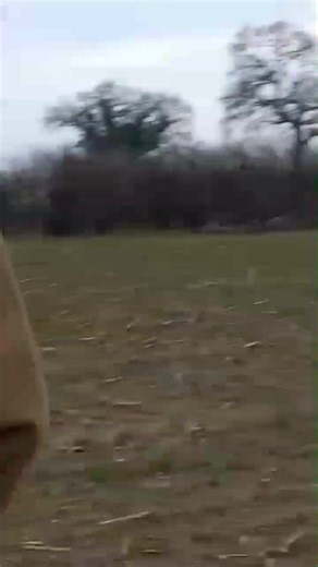 11K views · 79 reactions | Wynnstay. 18/02/24 We found the hunt...