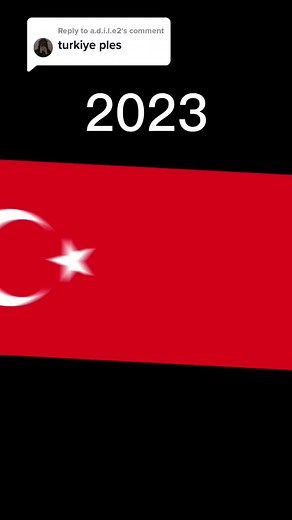 Turkish Flag Variations and Meanings