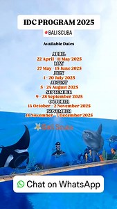 IDC PROGRAM by Bali Scuba 錄 Available on the dates mentioned ✨️ Book your course now, to be the next PADI Instructor! #idc #baliscuba #bali #fyp #diving | Bali Scuba | Facebook