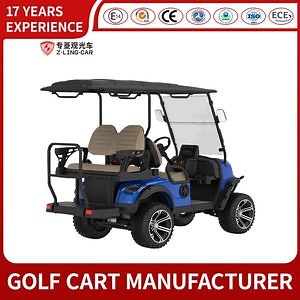 [Hot Item] Premium 7-Star Golf Cart with After-Sales Support for Rentals