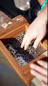 76 reactions · 7 comments | Round up your friends and family for a day of adventure at Scenic Helicopter Tours!  Fun for the kids - Gem Mining + Climbing Wall Fun for adults - Food Trucks & Microbrews Fun for all - Live music Fun in the air! - Flight starting at $20 | Scenic Helicopter Tours - Smoky Mountains | Facebook