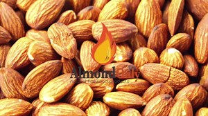 Almond Wood 6 inch Pizza Oven Wood Logs - 100% Roasted Almond Hardwood Logs - Ideal for Solo Mesa Stoves, Fire Pizza Oven, Brazilian Churrasco Grills, BBQ Grills - Longer & Hotter Burn (14 lbs)