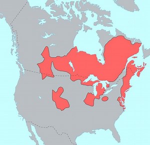 Algonquian languages - Alchetron, The Free Social Encyclopedia