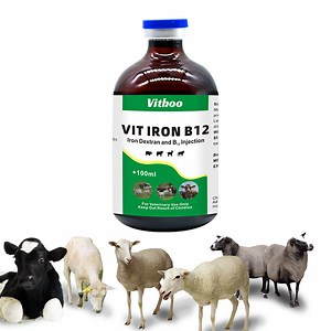 [Hot Item] Vit Iron B12 Injection Iron Dextran and B12 Injection Fe Injection