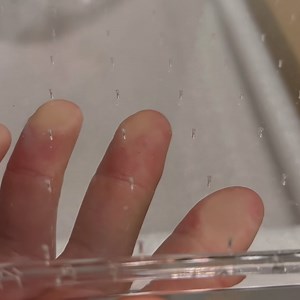 5.1K views · 53 reactions | This is the biggest shower head in the world! Such an amazing experience! #amazon #amazonfinds #amazonprime #amazonmusthaves #founditonamazon | Stuff You Actually Need. | Facebook