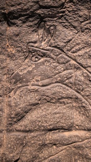 5K views · 209 reactions | In the Algerian desert, dazzling alfresco galleries provide an eloquent record of ancient civilizations. Learn how you can visit: https://on.natgeo.com/3YTyV4K Video by Matjaz Krivic | National Geographic Travel | Facebook