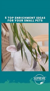 16K views · 648 reactions | Enrichment activities are a great way to...