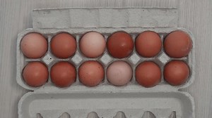 Hand Taking Egg Box Top View Stock Footage Video (100% Royalty-free) 3939654317 | Shutterstock