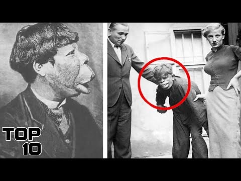 Top 10 Crossbreeding Experiments From Hell