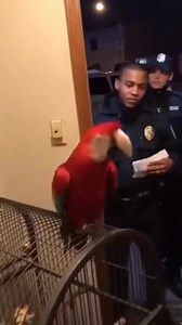 No Warrant , No Entry | Tourist Channel