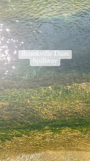 Saturday, we had a picnic at Brookville Dam spillway. Gorgeous weather. | Lori Foster