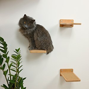 Solid Wood Cat Wall Steps: Modern Climbing Shelf - Etsy
